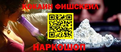 крисы Моздок