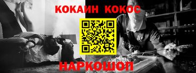 крисы Моздок