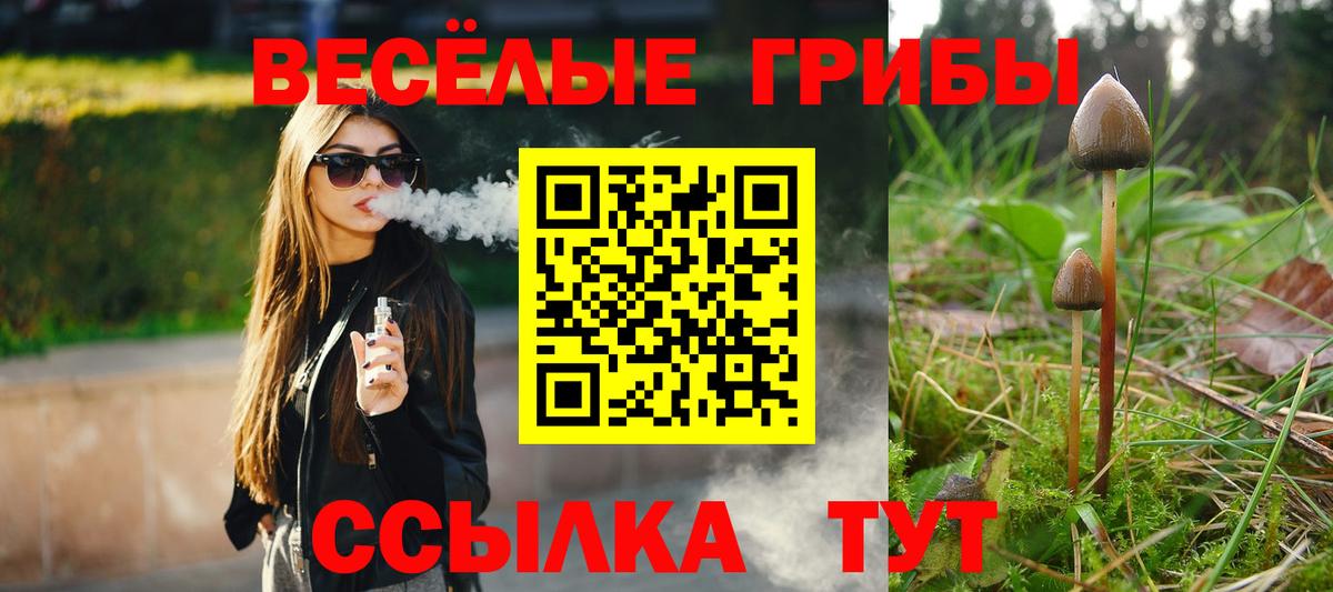Галлюциногенные грибы прущие грибы  Вход с VPN  Татарск 