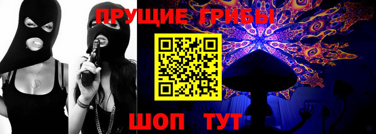 Галлюциногенные грибы Psilocybine cubensis Татарск