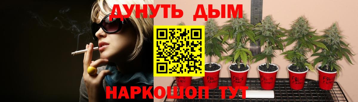 Бошки марихуана Amnesia  Канабис THC 21%  Вход с VPN  Татарск  МАРИХУАНА THC 21%  Марихуана OG Kush 